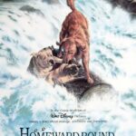 Homeward Bound The incredible Journey @North Park Recreation Center