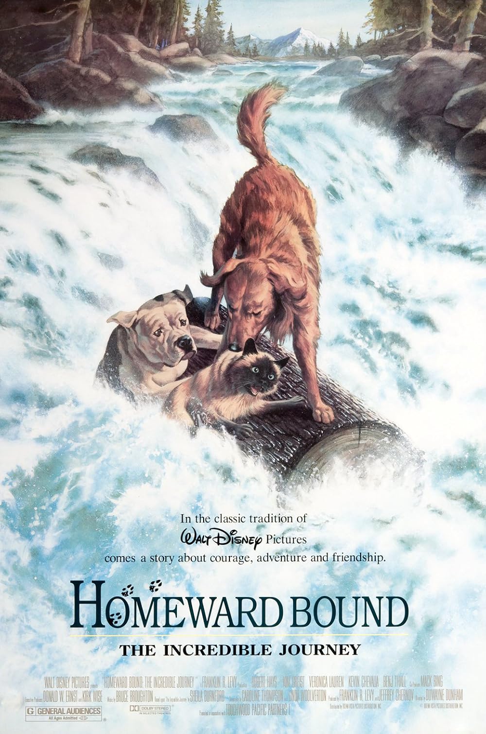 Homeward Bound The incredible Journey